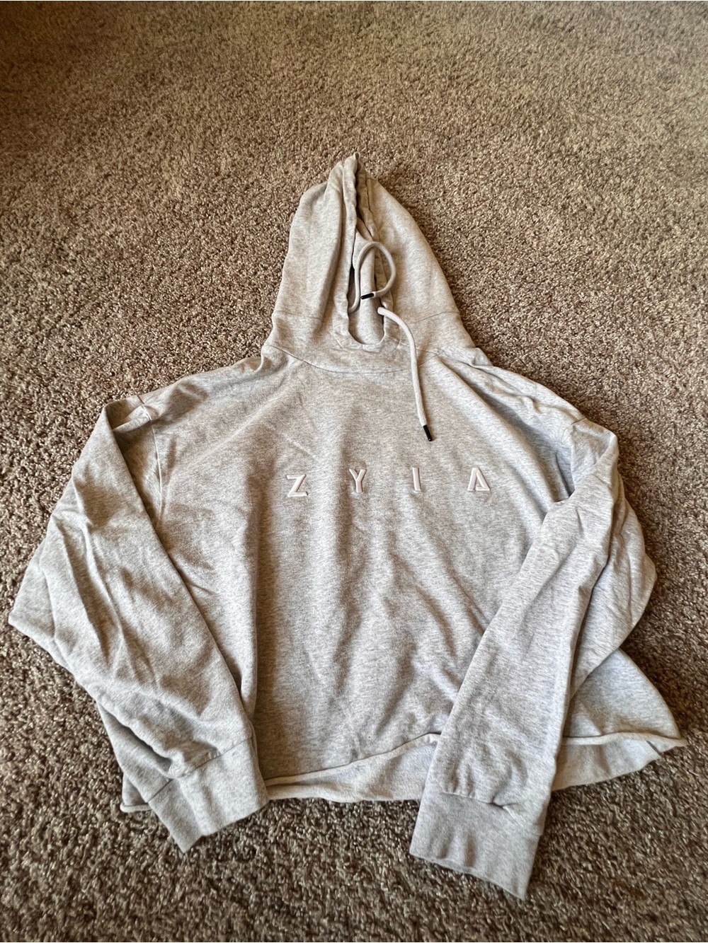 ZYIA Light Gray Crewneck Hoodie Sweater Crop